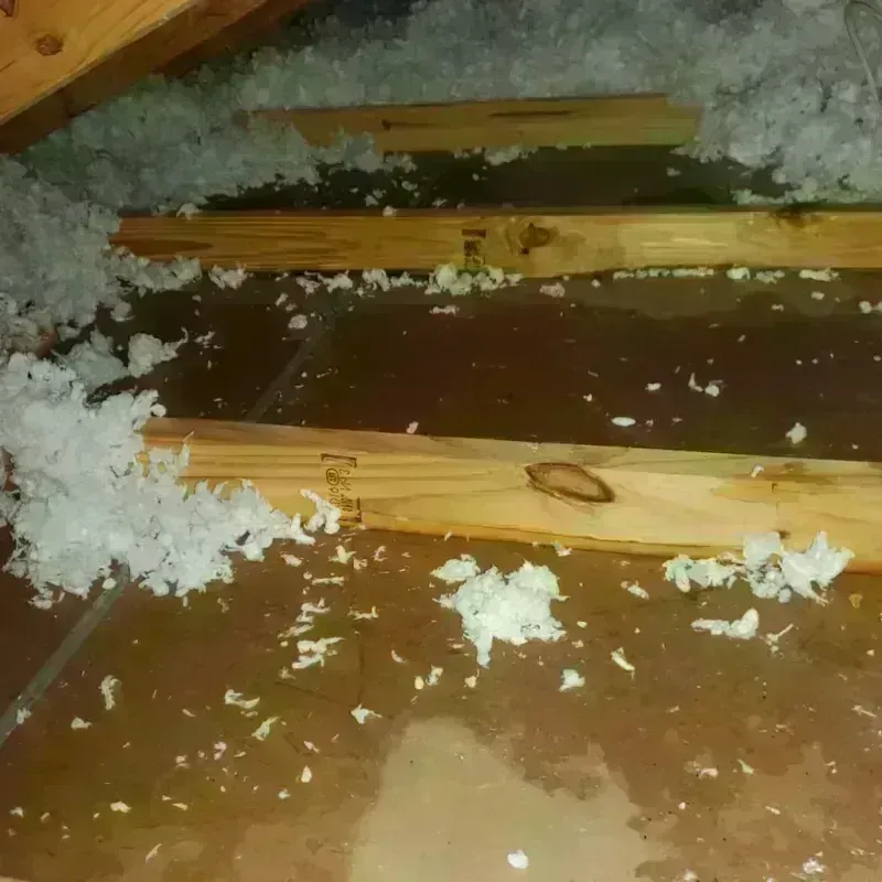 Attic Water Damage in New Roads, LA