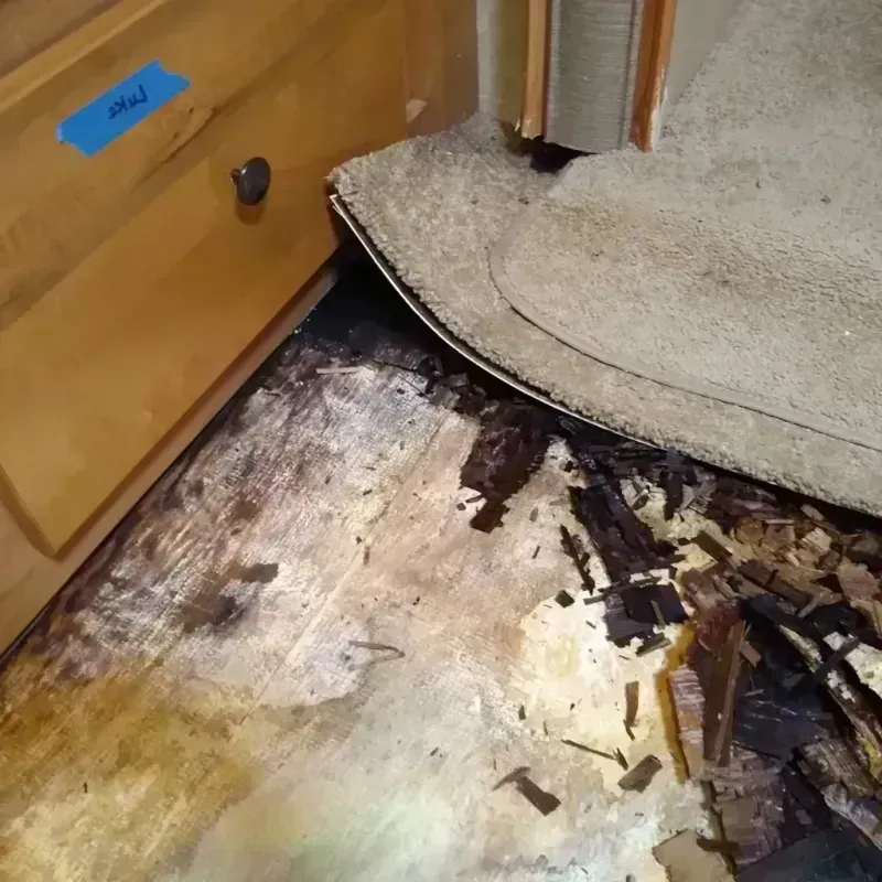 Wood Floor Water Damage in New Roads, LA